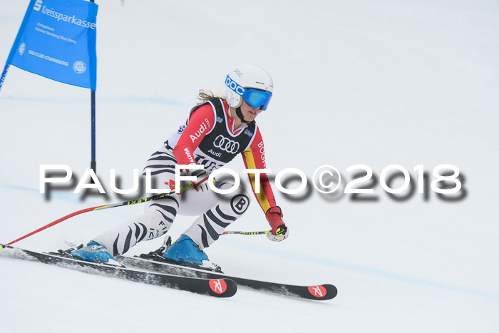 20. SVM Regionalcup-Finale 2018, Kinder, Schüler, Jugend, Erwachsene + Siegerehrungen, 18.03.2018