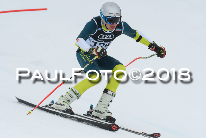 20. SVM Regionalcup-Finale 2018, Kinder, Schüler, Jugend, Erwachsene + Siegerehrungen, 18.03.2018