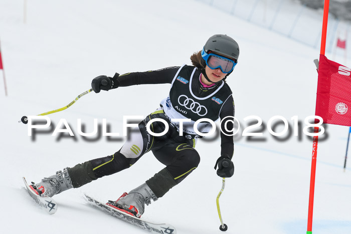 20. SVM Regionalcup-Finale 2018, Kinder, Schüler, Jugend, Erwachsene + Siegerehrungen, 18.03.2018
