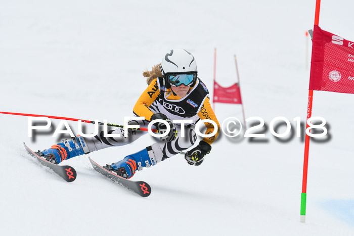 20. SVM Regionalcup-Finale 2018, Kinder, Schüler, Jugend, Erwachsene + Siegerehrungen, 18.03.2018