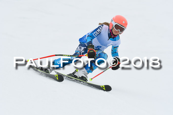 20. SVM Regionalcup-Finale 2018, Kinder, Schüler, Jugend, Erwachsene + Siegerehrungen, 18.03.2018