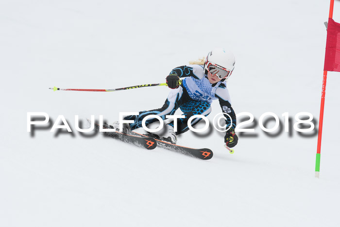 20. SVM Regionalcup-Finale 2018, Kinder, Schüler, Jugend, Erwachsene + Siegerehrungen, 18.03.2018
