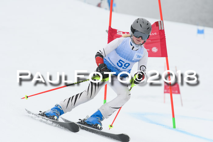20. SVM Regionalcup-Finale 2018, Kinder, Schüler, Jugend, Erwachsene + Siegerehrungen, 18.03.2018
