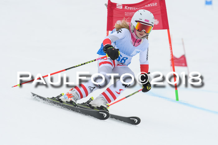 20. SVM Regionalcup-Finale 2018, Kinder, Schüler, Jugend, Erwachsene + Siegerehrungen, 18.03.2018