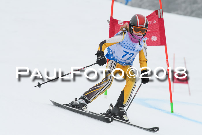 20. SVM Regionalcup-Finale 2018, Kinder, Schüler, Jugend, Erwachsene + Siegerehrungen, 18.03.2018