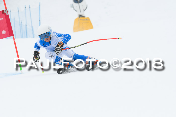20. SVM Regionalcup-Finale 2018, Kinder, Schüler, Jugend, Erwachsene + Siegerehrungen, 18.03.2018