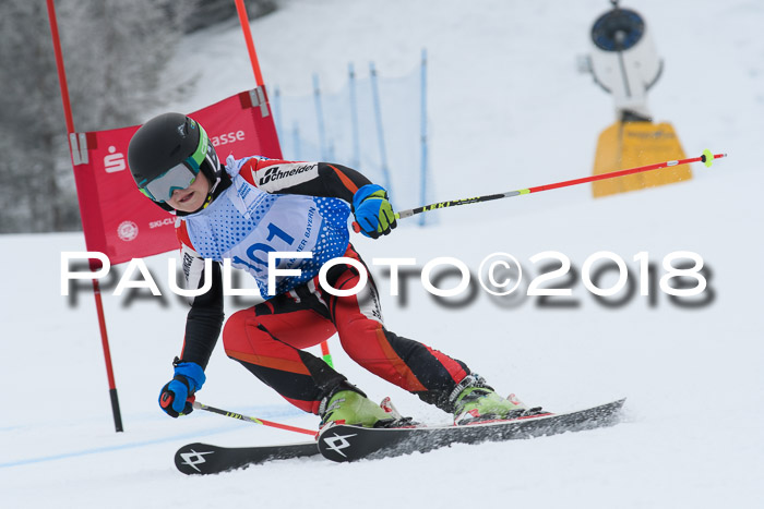 20. SVM Regionalcup-Finale 2018, Kinder, Schüler, Jugend, Erwachsene + Siegerehrungen, 18.03.2018