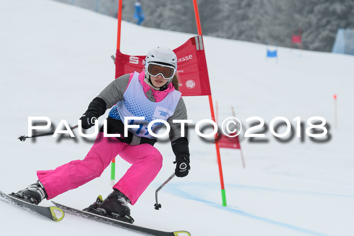 20. SVM Regionalcup-Finale 2018, Kinder, Schüler, Jugend, Erwachsene + Siegerehrungen, 18.03.2018