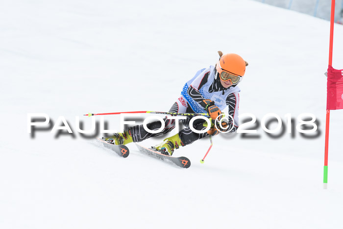 20. SVM Regionalcup-Finale 2018, Kinder, Schüler, Jugend, Erwachsene + Siegerehrungen, 18.03.2018