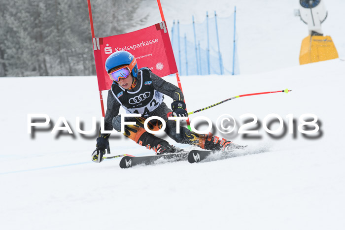 20. SVM Regionalcup-Finale 2018, Kinder, Schüler, Jugend, Erwachsene + Siegerehrungen, 18.03.2018