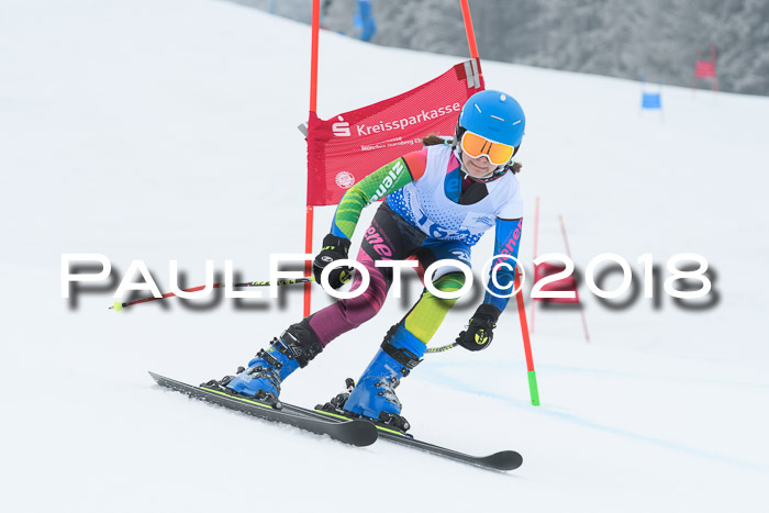 20. SVM Regionalcup-Finale 2018, Kinder, Schüler, Jugend, Erwachsene + Siegerehrungen, 18.03.2018