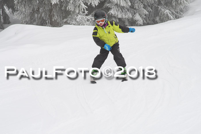 Werdenfelser Kinderskitag, Bambini +Kinder JG 2007, 18.03.2018