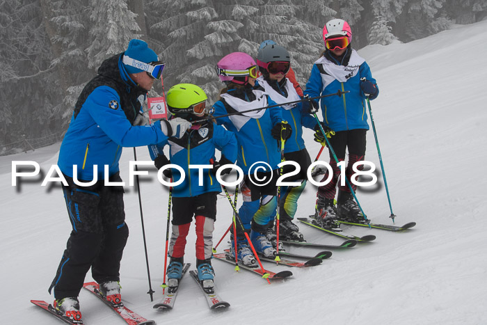 Werdenfelser Kinderskitag, Bambini +Kinder JG 2007, 18.03.2018