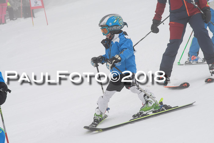 Werdenfelser Kinderskitag, Bambini +Kinder JG 2007, 18.03.2018