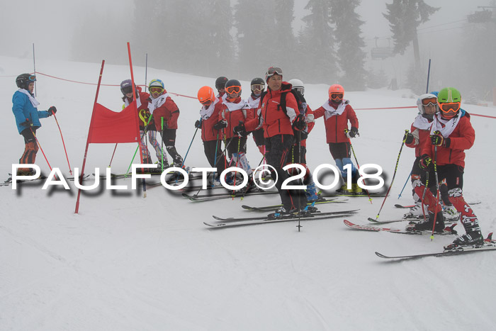 Werdenfelser Kinderskitag, Bambini +Kinder JG 2007, 18.03.2018