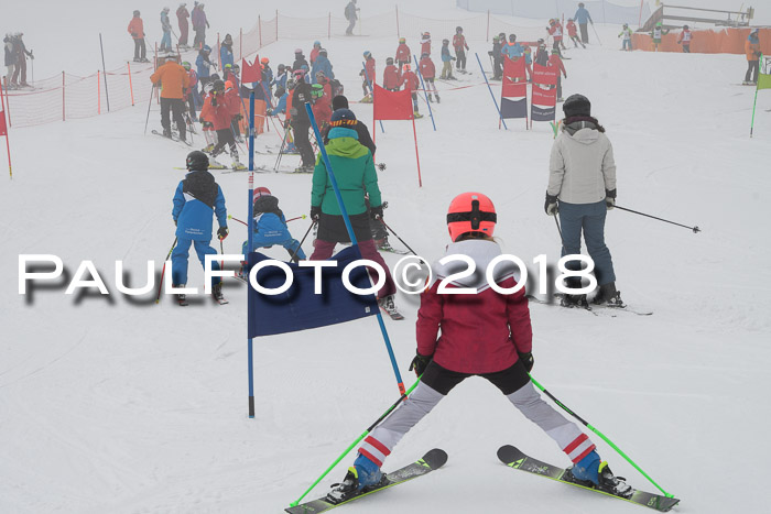 Werdenfelser Kinderskitag, Bambini +Kinder JG 2007, 18.03.2018