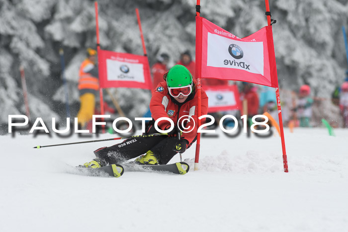 Werdenfelser Kinderskitag, Bambini +Kinder JG 2007, 18.03.2018