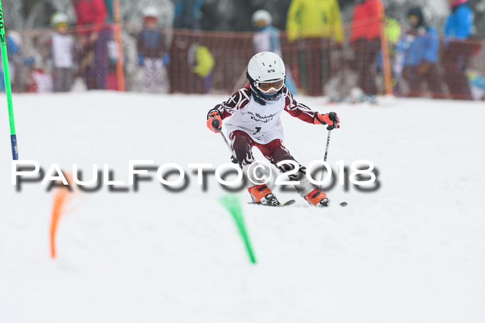 Werdenfelser Kinderskitag, Bambini +Kinder JG 2007, 18.03.2018