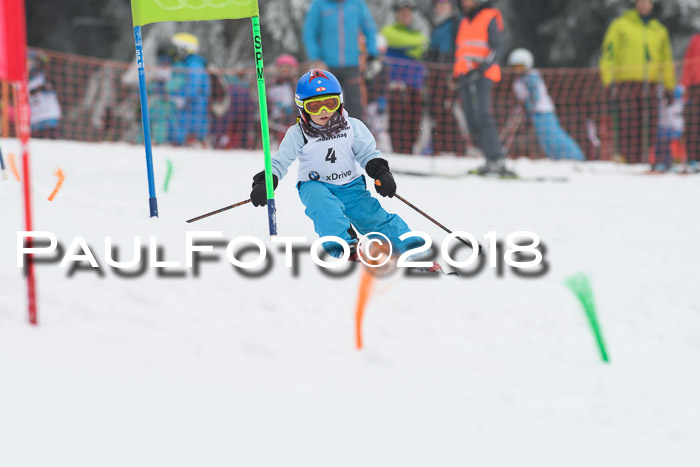 Werdenfelser Kinderskitag, Bambini +Kinder JG 2007, 18.03.2018