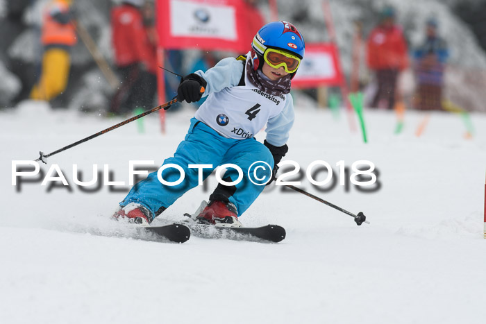 Werdenfelser Kinderskitag, Bambini +Kinder JG 2007, 18.03.2018