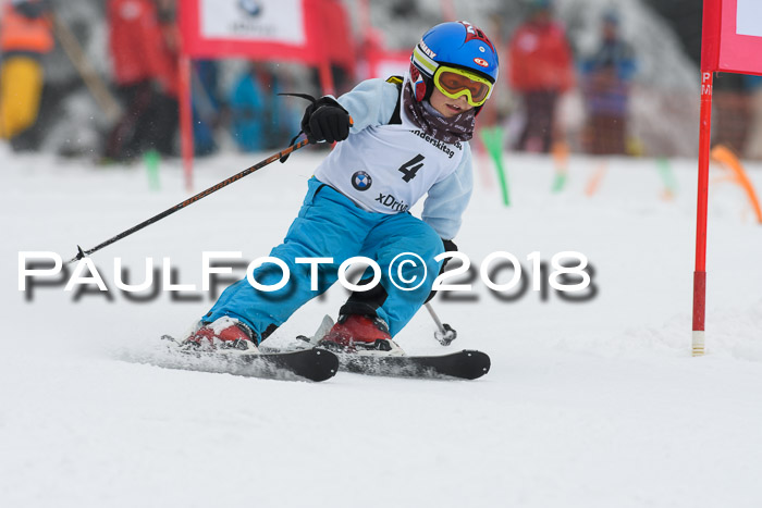 Werdenfelser Kinderskitag, Bambini +Kinder JG 2007, 18.03.2018