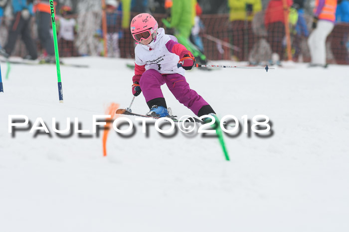 Werdenfelser Kinderskitag, Bambini +Kinder JG 2007, 18.03.2018