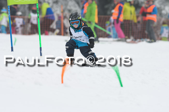 Werdenfelser Kinderskitag, Bambini +Kinder JG 2007, 18.03.2018