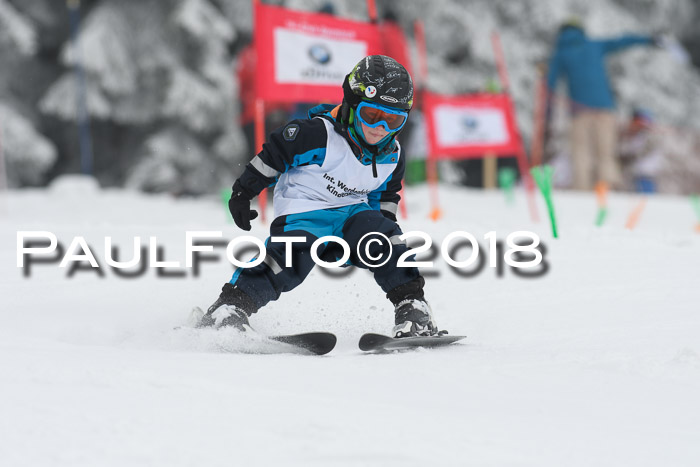 Werdenfelser Kinderskitag, Bambini +Kinder JG 2007, 18.03.2018