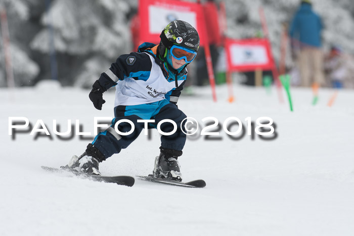 Werdenfelser Kinderskitag, Bambini +Kinder JG 2007, 18.03.2018