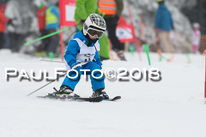 Werdenfelser Kinderskitag, Bambini +Kinder JG 2007, 18.03.2018