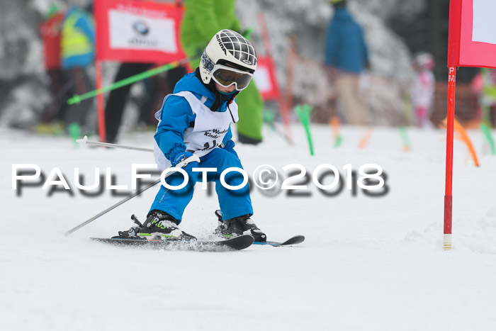 Werdenfelser Kinderskitag, Bambini +Kinder JG 2007, 18.03.2018