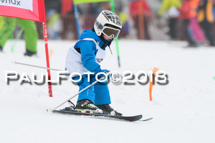 Werdenfelser Kinderskitag, Bambini +Kinder JG 2007, 18.03.2018