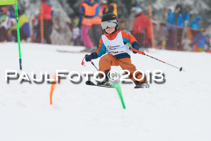 Werdenfelser Kinderskitag, Bambini +Kinder JG 2007, 18.03.2018