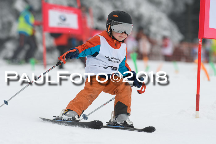 Werdenfelser Kinderskitag, Bambini +Kinder JG 2007, 18.03.2018