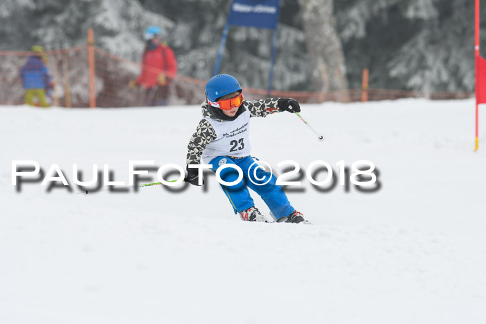 Werdenfelser Kinderskitag, Bambini +Kinder JG 2007, 18.03.2018