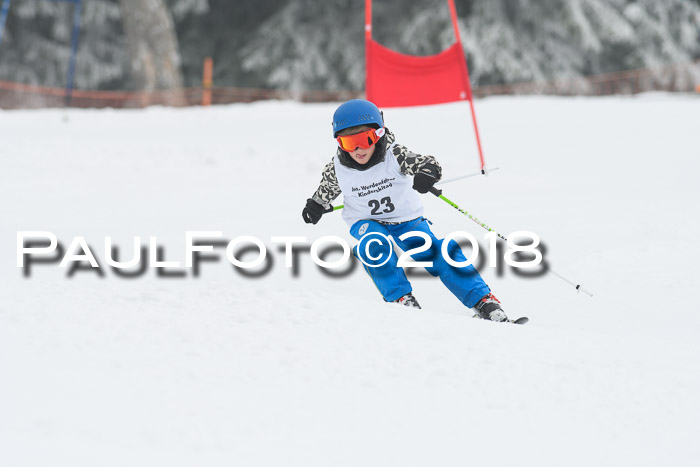 Werdenfelser Kinderskitag, Bambini +Kinder JG 2007, 18.03.2018