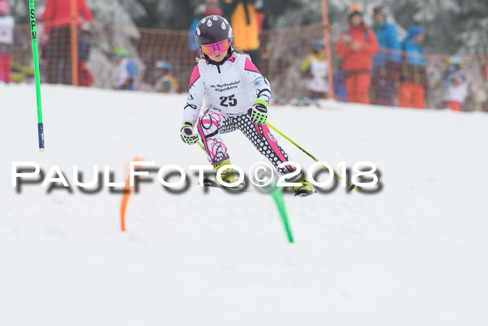 Werdenfelser Kinderskitag, Bambini +Kinder JG 2007, 18.03.2018