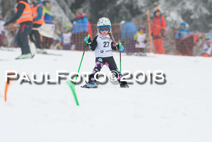 Werdenfelser Kinderskitag, Bambini +Kinder JG 2007, 18.03.2018