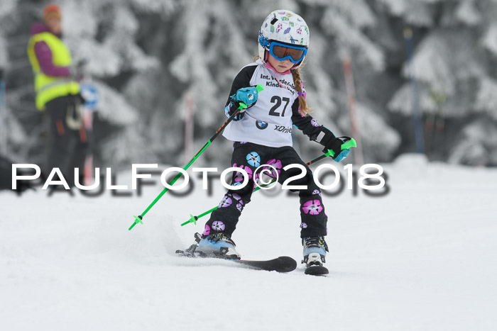 Werdenfelser Kinderskitag, Bambini +Kinder JG 2007, 18.03.2018