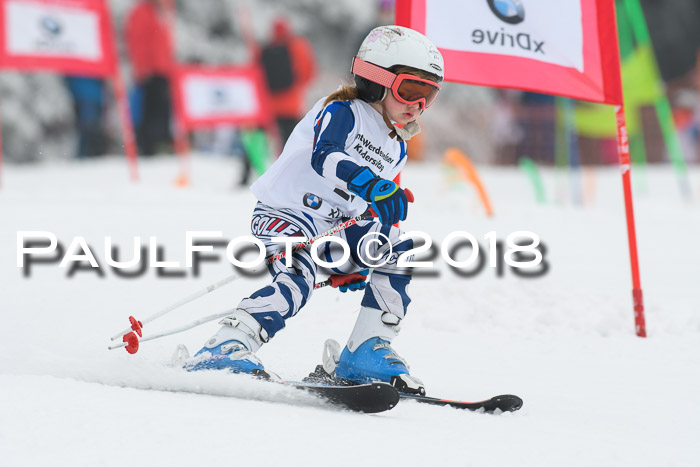 Werdenfelser Kinderskitag, Bambini +Kinder JG 2007, 18.03.2018