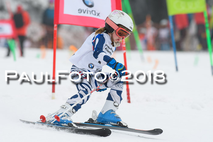 Werdenfelser Kinderskitag, Bambini +Kinder JG 2007, 18.03.2018