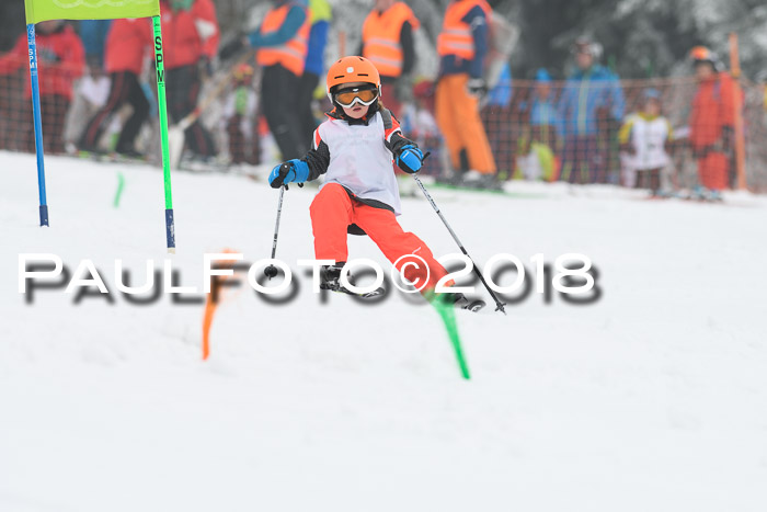 Werdenfelser Kinderskitag, Bambini +Kinder JG 2007, 18.03.2018