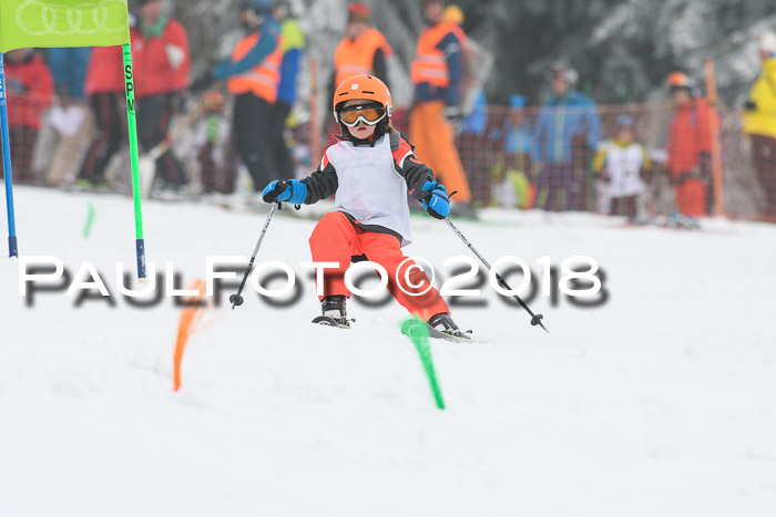 Werdenfelser Kinderskitag, Bambini +Kinder JG 2007, 18.03.2018