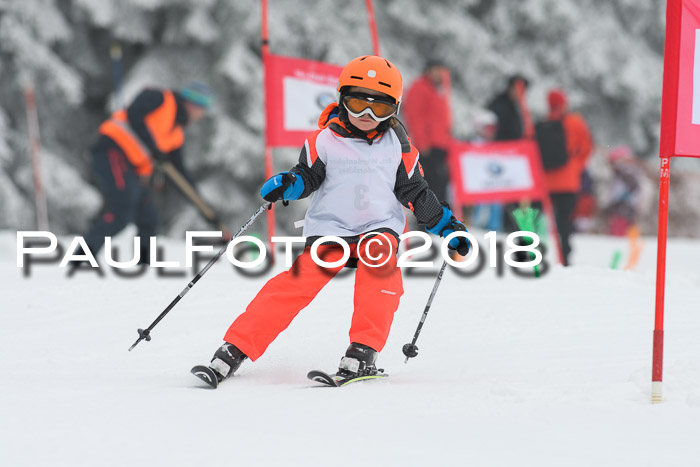 Werdenfelser Kinderskitag, Bambini +Kinder JG 2007, 18.03.2018