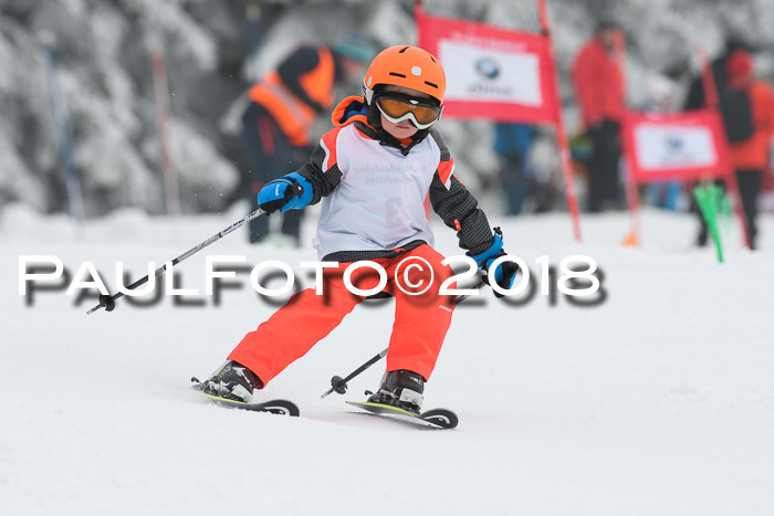 Werdenfelser Kinderskitag, Bambini +Kinder JG 2007, 18.03.2018