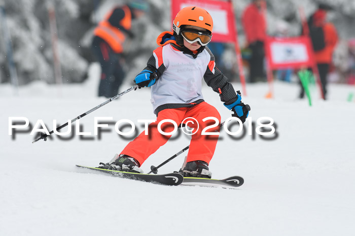 Werdenfelser Kinderskitag, Bambini +Kinder JG 2007, 18.03.2018