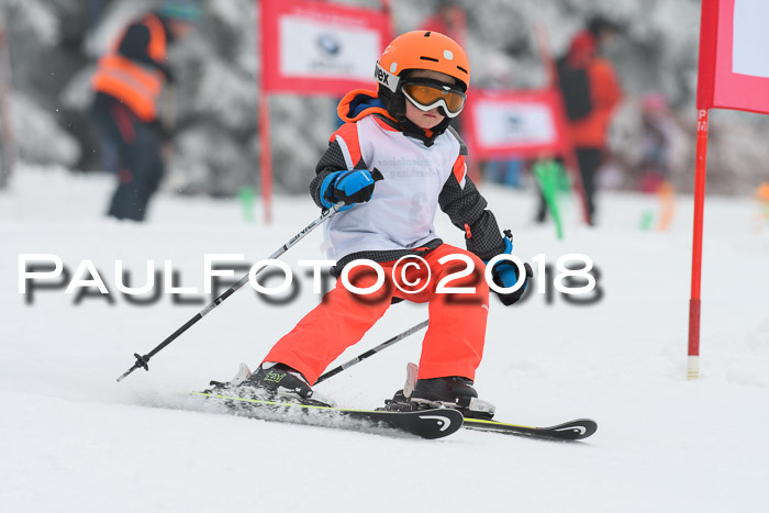 Werdenfelser Kinderskitag, Bambini +Kinder JG 2007, 18.03.2018