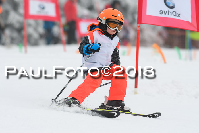 Werdenfelser Kinderskitag, Bambini +Kinder JG 2007, 18.03.2018