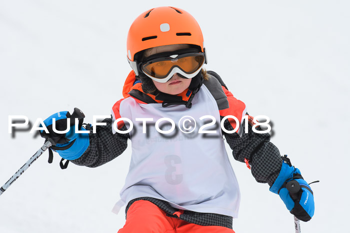 Werdenfelser Kinderskitag, Bambini +Kinder JG 2007, 18.03.2018