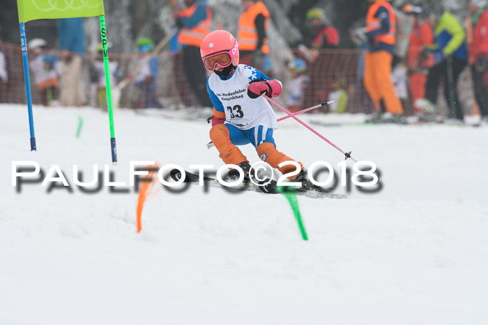 Werdenfelser Kinderskitag, Bambini +Kinder JG 2007, 18.03.2018